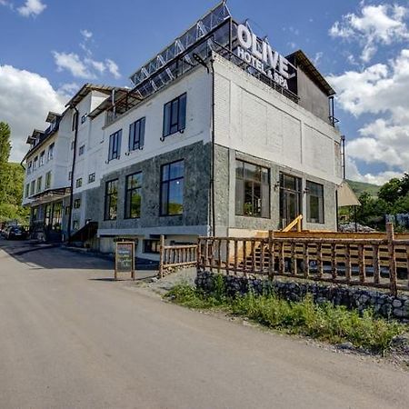 Olive Ala-Archa Hotel & Spa Verkhnyaya Alaarcha Kültér fotó